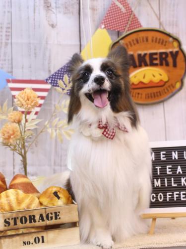 20240901マリーちゃん